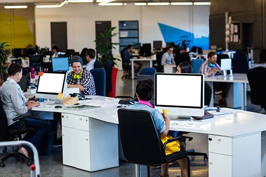 IT & Tech Services