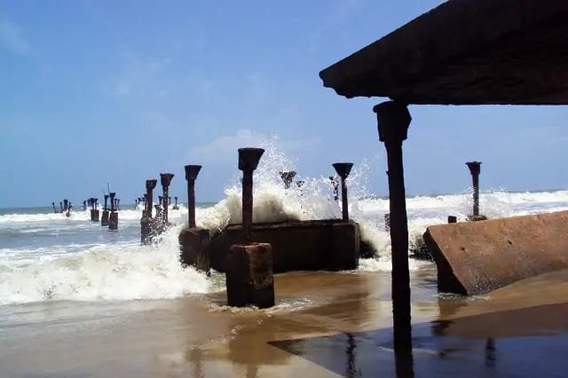 Local Expertise in Calicut Market