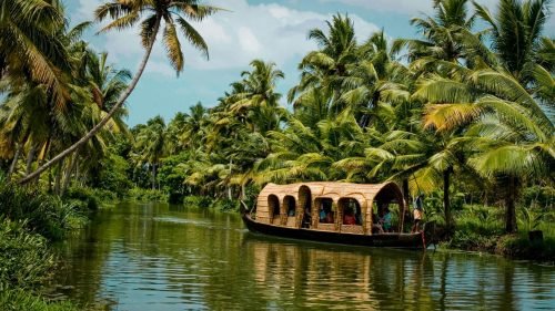 Local Expertise in Kerala Market